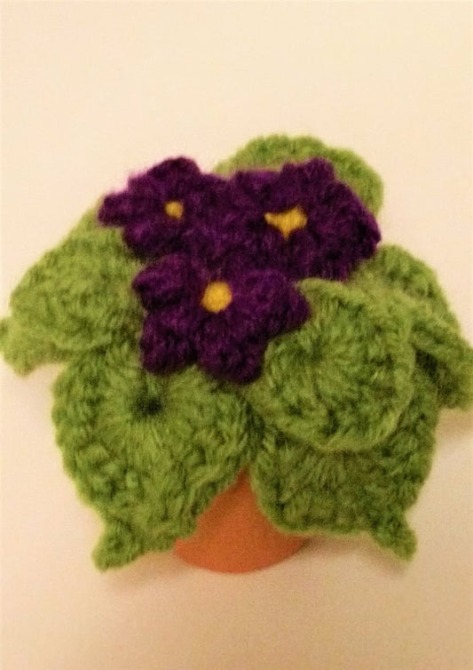 Plush Potted African Violet
