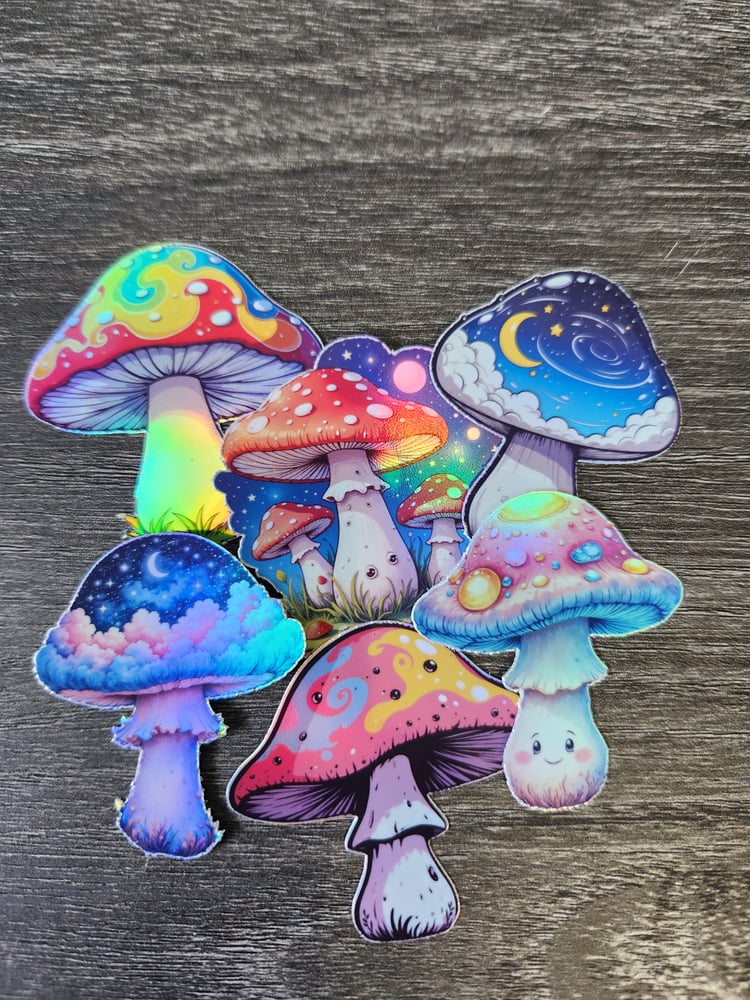 Mushroom Mystery Box