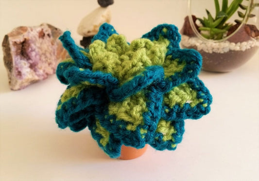 Plush Potted Echeveria Elegan