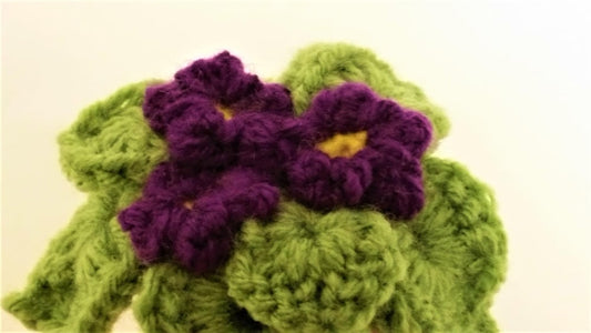 Plush Potted African Violet