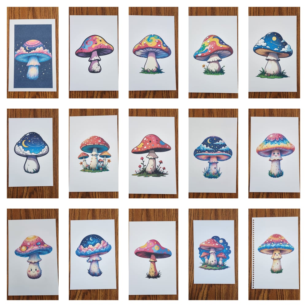 Mushroom Mystery Box